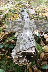 青州法院初几上班 青州法院初几上班