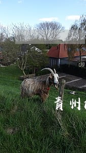 青州法院审理33人涉黑案件 青州法院审理33人涉黑案件