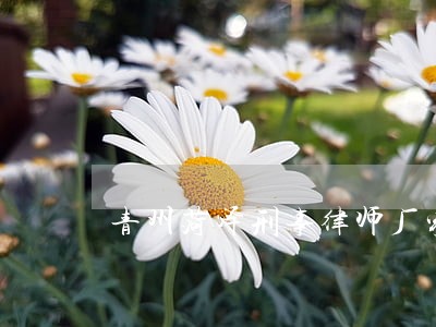 青州菏泽刑事律师厂家批发价格 青州菏泽刑事律师厂家批发价格