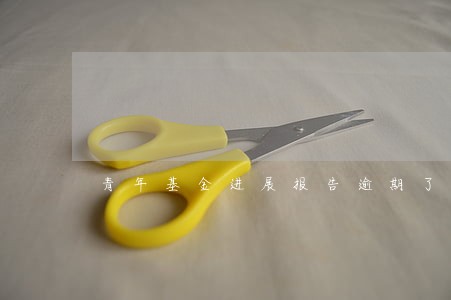 青年基金进展报告逾期了 青年基金进展报告逾期了