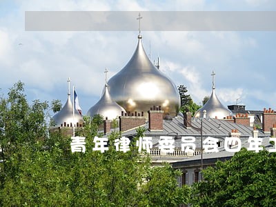 青年律师委员会四年工作计划 青年律师委员会四年工作计划
