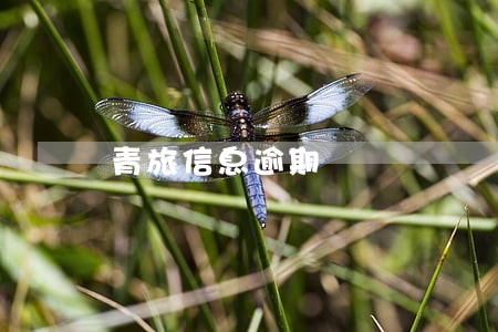 青旅信息逾期 青旅信息逾期