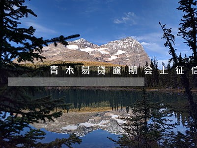 青木易贷逾期会上征信吗 青木易贷逾期会上征信吗