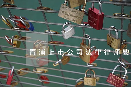 青浦上市公司法律律师要多少钱 青浦上市公司法律律师要多少钱