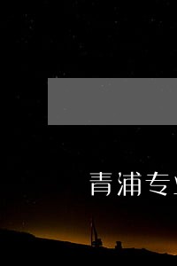 青浦专业的刑事案件律师哪个有名 青浦专业的刑事案件律师哪个有名