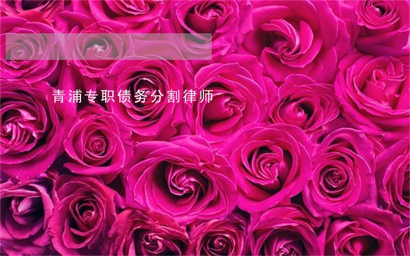 青浦专职债务分割律师 青浦专职债务分割律师