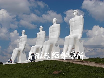 青浦东炬律师所 青浦东炬律师所