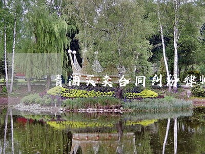 青浦买卖合同纠纷律师 青浦买卖合同纠纷律师