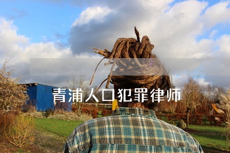 青浦人口犯罪律师 青浦人口犯罪律师