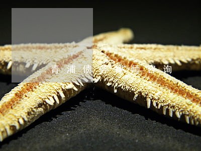 青浦债务律师咨询 青浦债务律师咨询