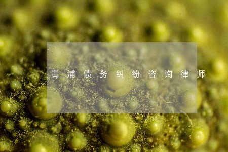 青浦债务纠纷咨询律师 青浦债务纠纷咨询律师