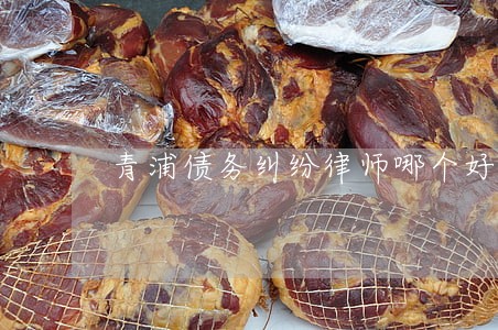 青浦债务纠纷律师哪个好