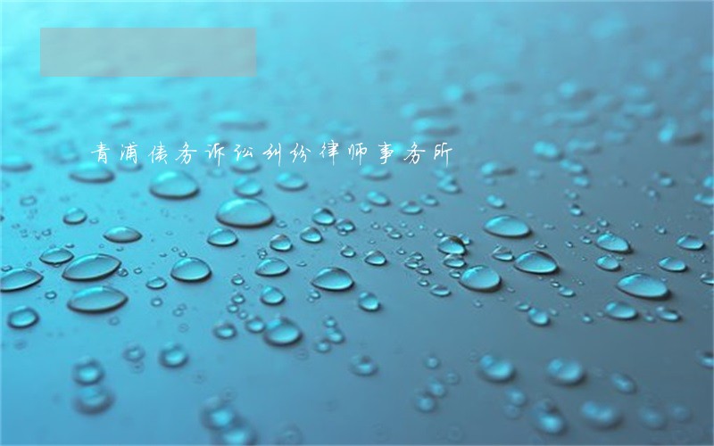青浦债务诉讼纠纷律师事务所 青浦债务诉讼纠纷律师事务所