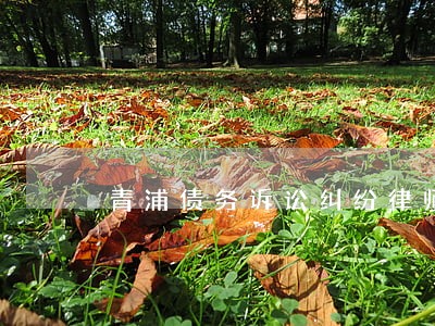 青浦债务诉讼纠纷律师价格 青浦债务诉讼纠纷律师价格