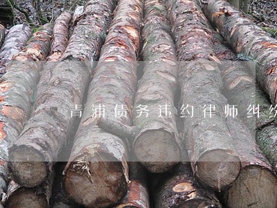 青浦债务违约律师纠纷 青浦债务违约律师纠纷