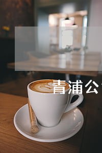 青浦公司法律顾问收费标准 青浦公司法律顾问收费标准