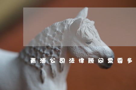 青浦公司法律顾问需要多少钱