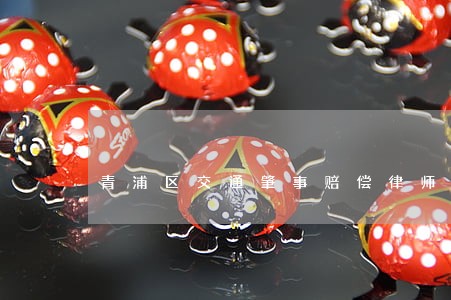 青浦区交通肇事赔偿律师