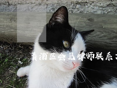 青浦区会见律师联系方式 青浦区会见律师联系方式
