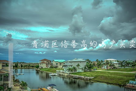 青浦区信誉高的房产买卖纠纷律师 青浦区信誉高的房产买卖纠纷律师