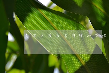 青浦区债务官司律师咨询 青浦区债务官司律师咨询