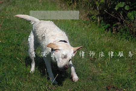 青浦区债务律师法律服务在线咨询 青浦区债务律师法律服务在线咨询