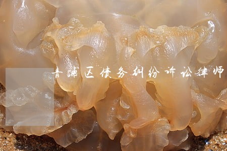 青浦区债务纠纷诉讼律师费用