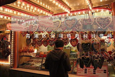 青浦区公司债务纠纷律师网站 青浦区公司债务纠纷律师网站