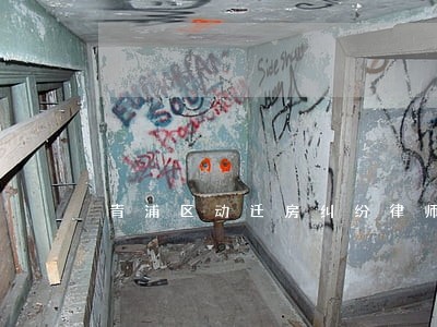 青浦区动迁房纠纷律师哪个比较好