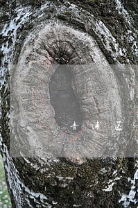 青浦区动迁法律咨询公司 青浦区动迁法律咨询公司