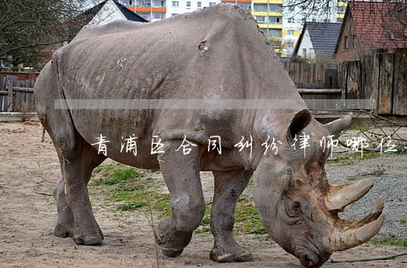 青浦区合同纠纷律师哪位好 青浦区合同纠纷律师哪位好
