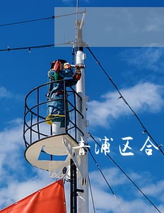 青浦区合同纠纷推荐律师电话号码 青浦区合同纠纷推荐律师电话号码