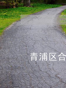 青浦区合同纠纷赔偿律师服务费用