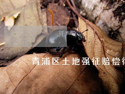 青浦区土地强征赔偿律师免费咨询 青浦区土地强征赔偿律师免费咨询