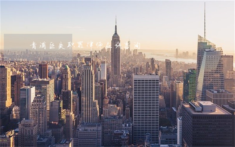 青浦区失职罪律师在线咨询