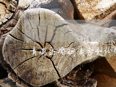 青浦区婚姻债务纠纷律师 青浦区婚姻债务纠纷律师