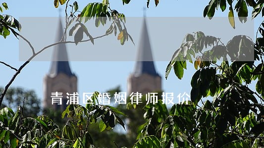 青浦区婚姻律师报价 青浦区婚姻律师报价