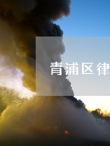 青浦区律师事务所名录 青浦区律师事务所名录