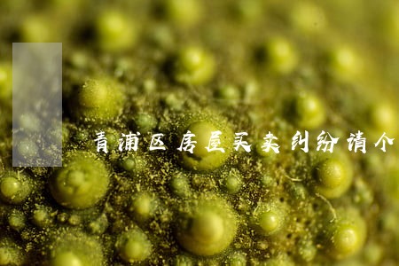 青浦区房屋买卖纠纷请个律师费用 青浦区房屋买卖纠纷请个律师费用