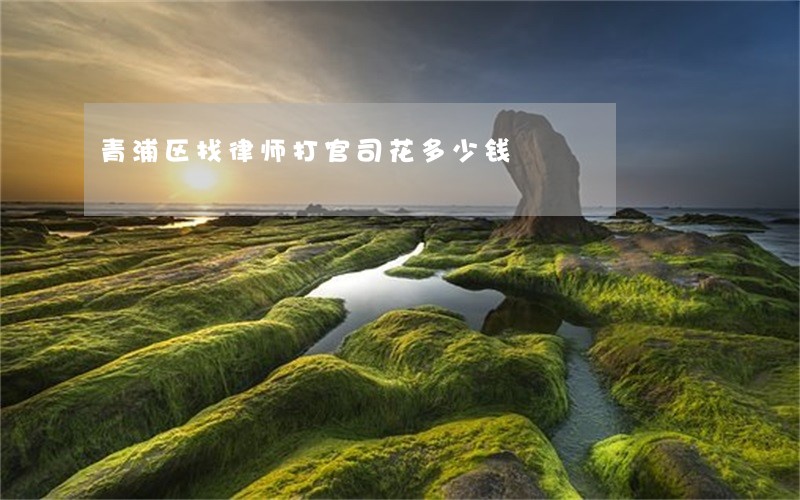 青浦区找律师打官司花多少钱 青浦区找律师打官司花多少钱