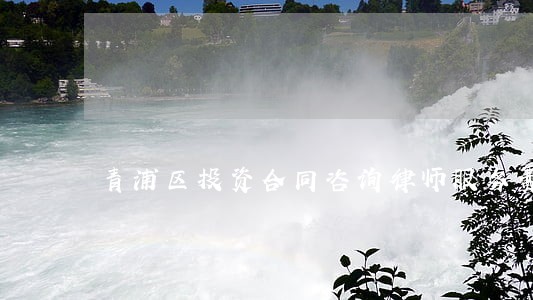 青浦区投资合同咨询律师服务费用 青浦区投资合同咨询律师服务费用