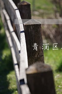 青浦区擅长的看守所律师
