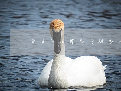 青浦区法律咨询服务电话 青浦区法律咨询服务电话