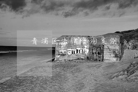 青浦区法律咨询案例 青浦区法律咨询案例