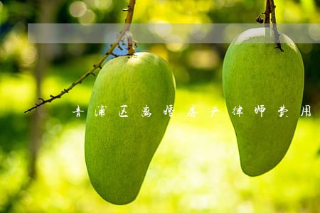 青浦区离婚房产律师费用 青浦区离婚房产律师费用