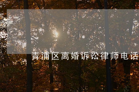 青浦区离婚诉讼律师电话 青浦区离婚诉讼律师电话