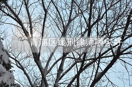 青浦区缓刑律师哪家好 青浦区缓刑律师哪家好