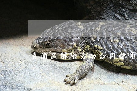 青浦区解除劳动合同律师多少钱 青浦区解除劳动合同律师多少钱