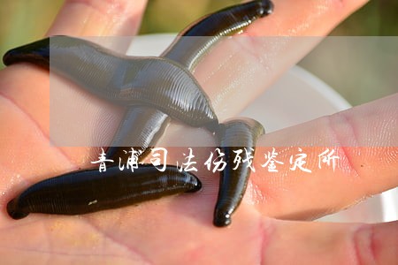 青浦司法伤残鉴定所