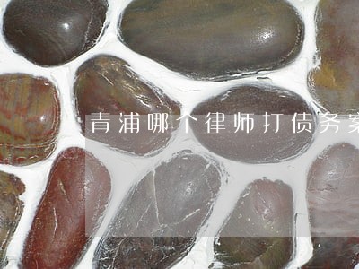 青浦哪个律师打债务案好点 青浦哪个律师打债务案好点